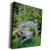 3dRose Danita Delimont - Scenics - Old wheelbarrow with flowers. - Museum Grade Canvas Wrap -cw-314433-1-