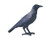 Miniblings Black Raven Printed Wood Brooch Pin Badge Button Crow Mystique Mistery