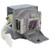 CTLAMP 5J.J6V05.001 Replacement Lamp with Housing Compatible with BENQ MX520 / MX703