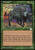 Magic- the Gathering - Barishi - Weatherlight