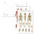 3 Pack - Blank USA Map Outline Poster  plus Muscular  and  Skeletal System Anatomy Charts -LAMINATED, 18" x 29"-