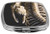 Rikki Knight Compact Mirror, Snake Skeleton