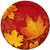 Creative Converting 8 Count Paper Dinner Plates, Autumn Gust, Brick/Yellow/Orange