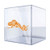 Stickers Sticker Chameleon Figure Reptile 8 X 2,9