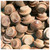 WidgetCo 5/16" Mahogany Button Top Wood Plugs