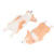 ABOOFAN 2Pcs Mini Puppy Figurines Sleeping Dog Figures Fairy Garden Accessories Miniature Resin Animal Cake Topper Decoration Doll House Pretend Play Toy ABOOFAN 2Pcs Mini Puppy Figurines Sleeping Dog Figures Fairy Garden Accessories Miniature Resin Animal Cake Topper Decoration Doll House Pretend Play Toy