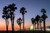 Santa Monica Beach Sunset Santa Monica Pier Ferris Wheel Photo Photograph Cubicle Locker Mini Art Poster 12x8