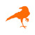 Crow Raven Jackdaw - Vinyl Decal Sticker - 4" x 3.75" - Orange Crow Raven Jackdaw - Vinyl Decal Sticker - 4" x 3.75" - Orange