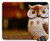 Mouse Pad - Owl Bird Funny Ceramic Animal Cute Deco Figure 2