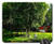 Mouse Pad - Nature Angler Figure Pond Tree Landscape Summer