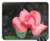 Mouse Pad - Flower Rosa Nature Rose Bush Plant Button