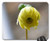 Mouse Pad - Button Flower Botanical Flora Nature Plant