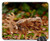 Mouse Pad - Hirsch Figure Deco Fur Autumn Forest Animal Wild