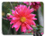 Mouse Pad - Pink Flower Button Flower Green Leaves Flower Pink