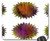 Mouse Pad - Burst Button Icon Placeholder Texture Cloud