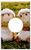 Single Hole Device Receptacle Wall Plate Cover - Sheep Deco Ceramic Cute Figure Soft Toy Wool 11