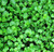20 Corsican Mint Mentha Requienii Herb Fragrant Ground Cover Flower Seeds  plus Gift
