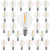 MYEMITTING G40 Led Replacement Light Bulbs E12 Small Base LED Globe Light Bulb 0.6W Equivalent to 7W Clear Glass White Warm 2700K String Lights for Indoor Outdoor Vintage LED Filament Bulb 25 Pack