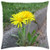 LESGAULEST Throw Pillow Cover -18x18 inch- - Dandelion Asphalt Flower Yellow Weeds Plant