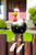 Rooster Resin Decoration-Funny Chicken Garden Decor Animal Figure Garden Ornament for Yard Stakes Home Indoor Outdoor Statues Yard Decor Black