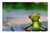 LESGAULEST Doormat Floor Rug/Mat -23.6 x 15.7 inch- - Yoga Frog Relaxed Figure Funny Rest Relaxation