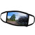 3dRose A Backroad with Trees Lining it on Both Sides and Blue Skies - Face Covers -fc-260708-1-