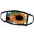 3dRose Photograph of a Orange and Yellow Sunflower Growing in Our. - Face Covers -fc-295278-2-
