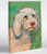 One Bella Casa Doodle1 Wall Decor, 8 by 10-Inch