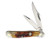 Rough Ryder Peanut Brown Stag Bone RR1808