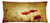 Ambesonne Poppy Flower Throw Pillow Cushion Cover, Poppies and Buds on Ambient Dark Grunge Background Retro Effects Bohemian, Decorative Rectangle Accent Pillow Case, 36" X 16", Cream Red