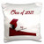 3dRose Image of Red Graduation Cap and Diploma, Corner Design, Class. - Pillow Cases -pc-348565-1-