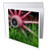 3dRose Danita Delimont - Scenics - USA, Alaska, Chena Hot Springs. Vintage Wagon Wheel and Grass. - 6 Greeting Cards with envelopes -gc-314434-1-