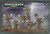 Warhammer 40K Blood Angels - Sanguinary Guard - Boxed Set