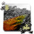 3dRose Image of Black and White Sanibel Nature Park with Orange Canal - Puzzles -pzl-326070-2-