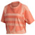 adidas Originals Women's Large Logo Tee Chalk Coral/Semi Coral Medium adidas Originals Women's Large Logo Tee Chalk Coral/Semi Coral Medium