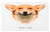 Ambesonne Corgi Doormat, Welsh Breed Dog Friend Illustration with Typography, Decorative Polyester Floor Mat with Non-Skid Backing, 30" X 18", Pale Orange Burgundy Sepia Dark Sand Brown