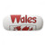 Wales National Flag Red Green Pattern Glasses Case Eyeglasses Clam Shell Holder Storage Box