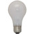 Technical Precision Replacement for Light Bulb/Lamp 100a/rs/tf 230-250v Light Bulb