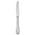 Oneida Satin Aquarius Dinner Knife