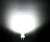 500pcs x Super Bright White 5mm Flat Top Led Light 5mm Flat White led Wholesale