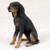 Conversation Concepts Coonhound Black & Tan Standard Figurine