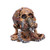 Nemesis Now Octo Respiration, Bronze, 18cm