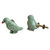 Indian Shelf 2 Pieces Knobs for Dresser Drawers | Parrot Bird Dresser Knobs Nursery | Multicolor Pulls and Knobs Gold | Ceramic Kitchen Cabinet Drawer Pulls | Fancy Knobs | Kitchen Cabinet Knobs