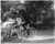 HistoricalFindings Photo: Billie Burke,Gloria's Romance,1916,Bicycle Sedan Chair
