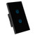 Rehomy WiFi Smart Wall Light Switch 2-Gang WiFi Remote Control Touch Screen Switch Voice Control Compatible with Alexa Google Home, US Plug