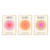 3 Pieces Positive Aura Posters for Room Aesthetic Colorful Aura Grainy Gradient Canvas Wall Art Spiritual Soul Body Mind Quote Print Painting Danish Pastel Home Wall Decor for Bedroom 8x10in Unframed 3 Pieces Positive Aura Posters for Room Aesthetic Colorful Aura Grainy Gradient Canvas Wall Art Spiritual Soul Body Mind Quote Print Painting Danish Pastel Home Wall Decor for Bedroom 8x10in Unframed