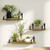 Floating Shelves Set of 3 for Wall Mounted - Modern Rustic Wood Wall Shelves Farmhouse Shelves for Bathroom Bedroom Kitchen, Wood/Metal Hung Bracket Bookshelf, DIY Storage Shelving Floating Shelves