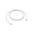 Apple USB-C Woven Charge Cable (1 m) ???????