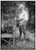 HistoricalFindings Photo: Thomas,Benches,Chairs,Leaves,hatchets,Axes,Men,Portraits,Bain News Service