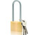 Fuaxat Solid Brass Padlock with 3 Keys, 3Inch Long Shackle Locker Lock with Brass Body & Steel Shackle, Weatherproof Padlock for Sheds, Storage Unit, School Gym Locker, Fence, gate